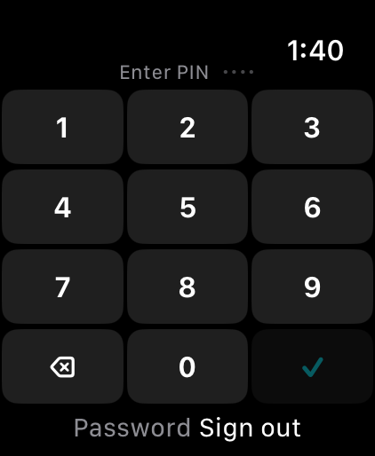 PIN entry screen